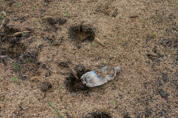 plastic polluted cracked earth background. Global warming, climate change and global warming...