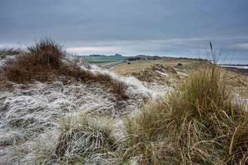 Beautiful Winter landscape of rare frozen frsoty grass on sand dunes on Northumberland beach in Northern England