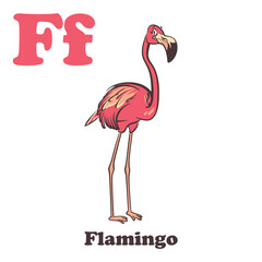 Flamingo Alphabet Cartoon Character For Kids