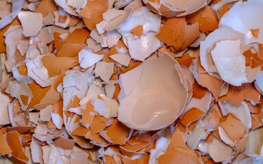 Broken eggshells. Recycling of kitchen waste, after cooking. Shredded eggshells for compost and garden
