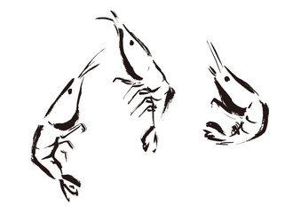 エビが跳ねている和風手描きイラスト　単色,線画