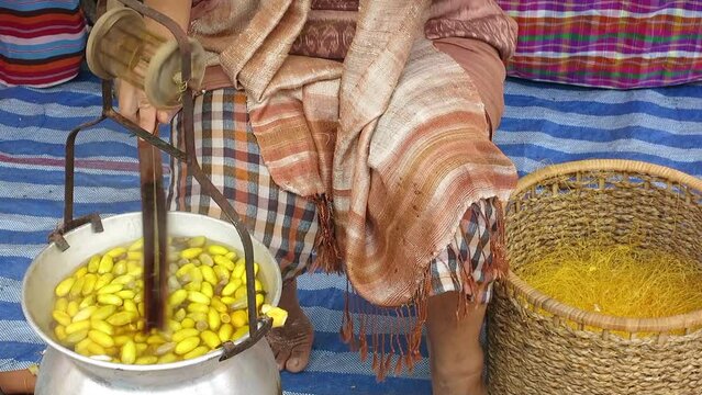 Traditionally making silk thread by boiling silkworm cocoons and spinning into the thread, Thailand