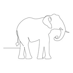World wild life continuous single line art drawing and elephant one line outline vector art  illustration
