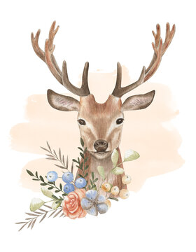 Deer illustration for t shirt design