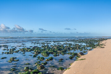 view of the beach with rocks 