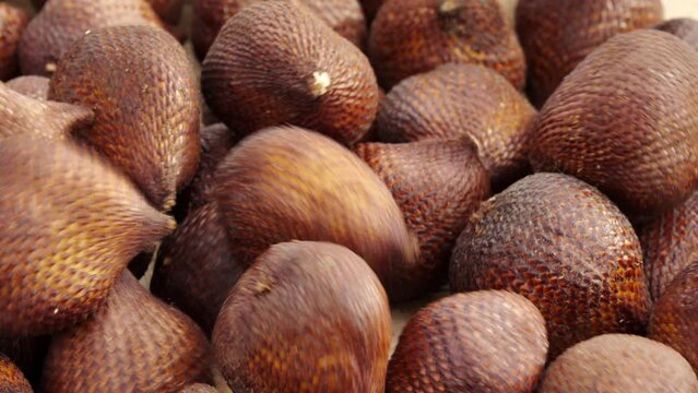 Salak or snakefruit tropical and exotic fruit from Indonesia, southeast asia