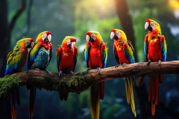 Rolgordijnen A vibrant group of parrots perched together on a branch, A group of colorful parrots perched on a branch in the rainforest, AI Generated © Iftikhar alam
