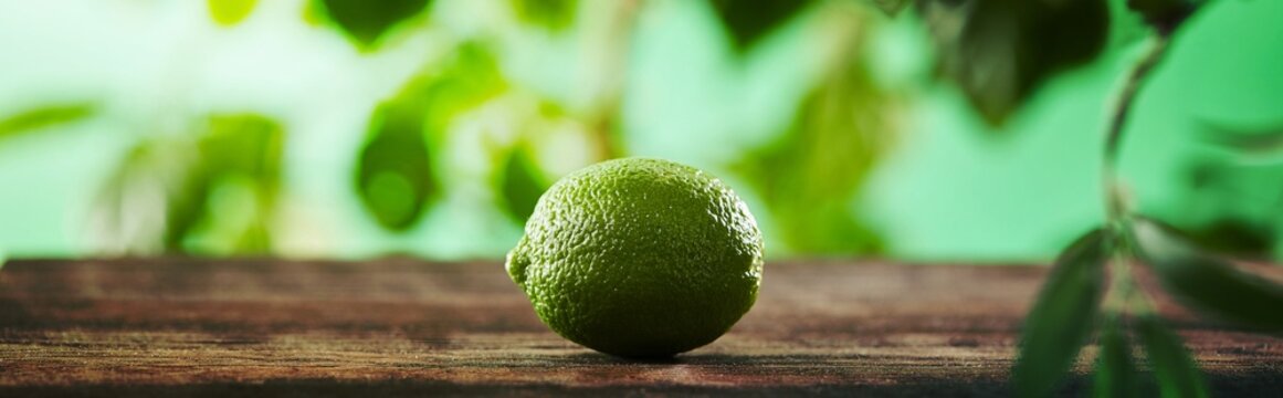 panoramic shot fresh whole lime
