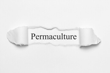 Fototapeta premium Permaculture 