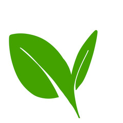 Leaf icon illustration