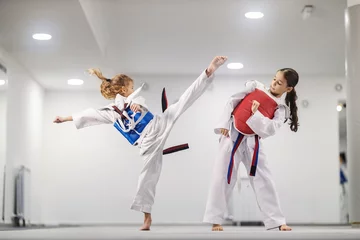  Taekwondo girl in dobok is attacking a rival and practicing combat in martial art school. © dusanpetkovic1
