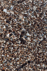 pebble texture. vertical texture of small pebbles. pebbles on the beach underwater. the pebbles were covered by a wave