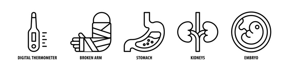 Embryo, Kidneys, Stomach, Broken Arm, Digital Thermometer editable stroke outline icons set isolated on white background flat vector illustration.