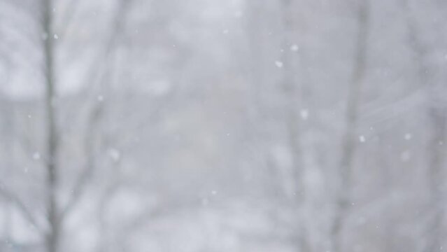 Footage of falling snow on blurred background of trees in winter. View from the window in winter. Fresh snow, as if decorated with sparkling diamonds, looks incredibly beautiful and covers everything