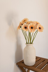 Pastel pale orange gerbera daisy flowers bouquet in clay vase on brown wooden table. Holiday,...