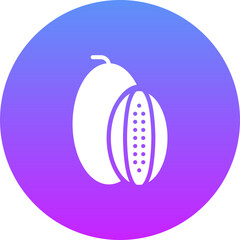 Rockmelon Icon