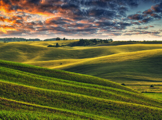 Fototapeta premium A picturesque hilly field. Storm clouds over a wheat field. Spring village landscape