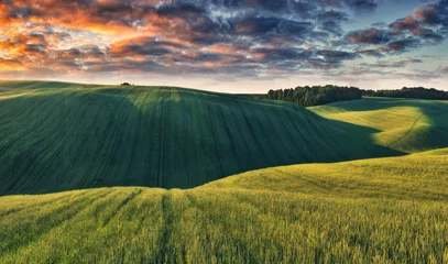 Foto op Plexiglas A picturesque hilly field. Storm clouds over a wheat field. Spring village landscape © sergnester