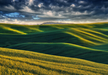 A picturesque hilly field. Storm clouds over a wheat field. Spring village landscape