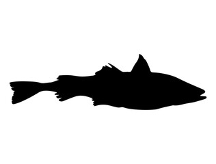 Alaska Pollock Fish silhouette vector art white background