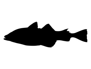 Alaska Pollock Fish silhouette vector art white background