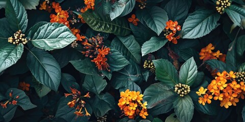 A bunch of orange flowers with green leaves. Perfect for adding a pop of color to any project