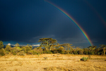rainbow over the fields of africa