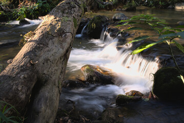 Stream and waterfall at Pang Hai Chiang Mai Thailand Long Exposure photography shot, Motion Blurred