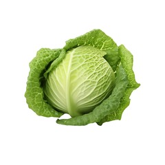 Fototapeta premium 3d cabbage isolated on the white background.