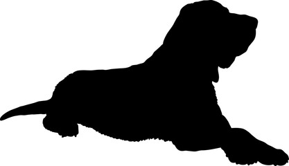 Bloodhound Dog silhouette breeds dog breeds dog monogram logo dog face vector - obrazy, fototapety, plakaty