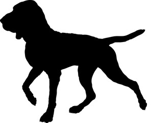 Bracco Italiano. Dog silhouette breeds dog breeds dog monogram logo dog face vector