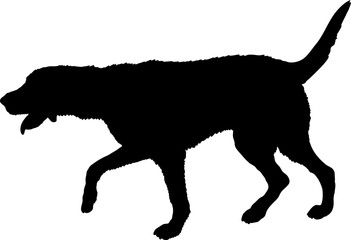 English Foxhound Dog silhouette breeds dog breeds dog monogram logo dog face vector - obrazy, fototapety, plakaty