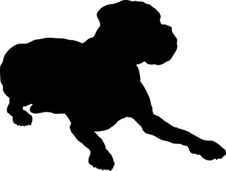 Boxer Dog silhouette breeds dog breeds dog monogram logo dog face vector