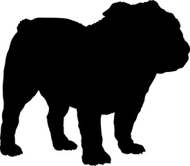 Bulldog Dog silhouette breeds dog breeds dog monogram logo dog face vector