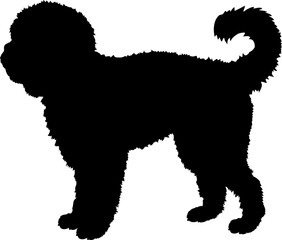 Cavapoo Dog silhouette breeds dog breeds dog monogram logo dog face vector - obrazy, fototapety, plakaty