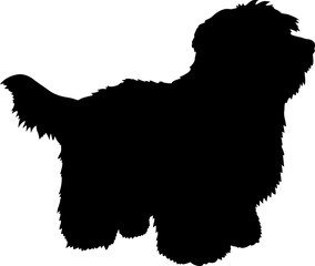 Coton de Tulear. Dog silhouette breeds dog breeds dog monogram logo dog face vector