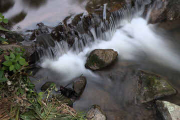 Stream and waterfall at Pang Hai Chiang Mai Thailand Long Exposure photography shot, Motion Blurred