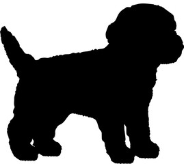 Toy Poodle. Dog silhouette breeds dog breeds dog monogram logo dog face vector