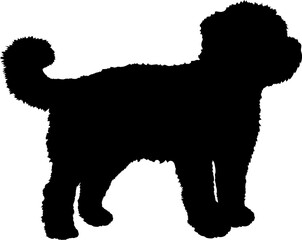 Yorkie Poo Dog silhouette breeds dog breeds dog monogram logo dog face vector - obrazy, fototapety, plakaty