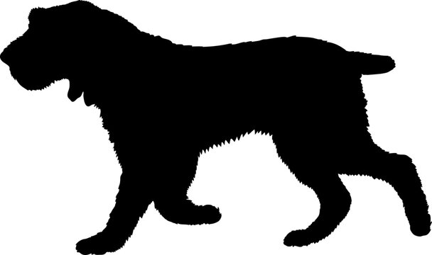 Spinone Italiano Dog silhouette breeds dog breeds dog monogram logo dog face vector