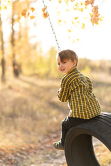 A cute little boy is sitting on a swing wheel in nature