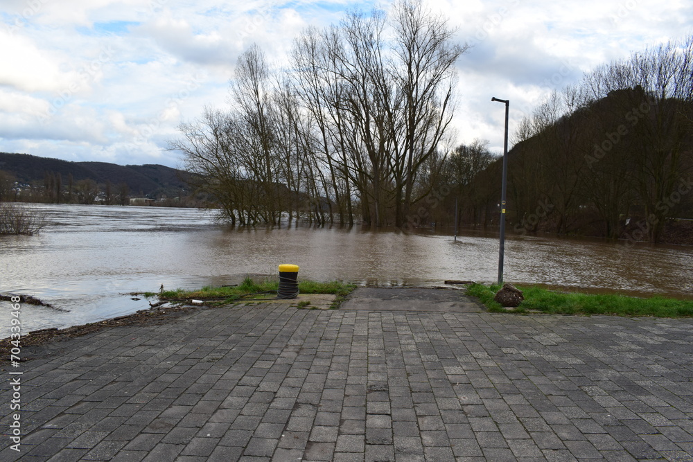 Wall mural rhine flood