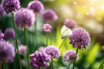A white butterfly perched on top of a vibrant purple flower. Perfect for nature and garden-related designs