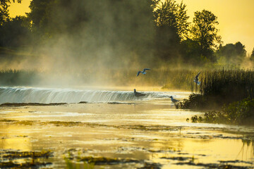 Fototapeta premium Waterfall in the river Venta. Venta hub with the birds