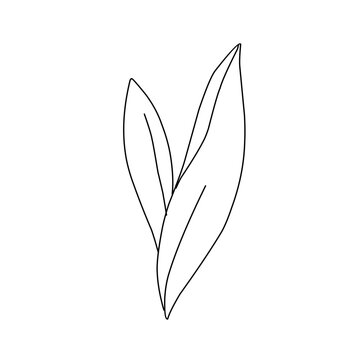minimalist black leaves on white background clip art preview
