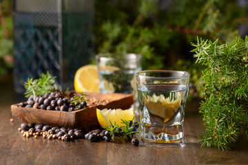 Gin with ingredients on an old wooden table.