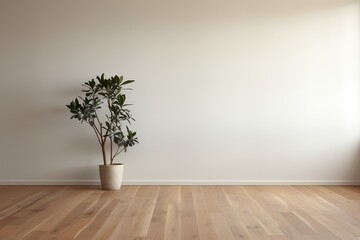 Indoor plant in a pot on the wooden floor against the white wall background