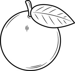 Chinese New Year Fresh Citrus Fruit Doodle