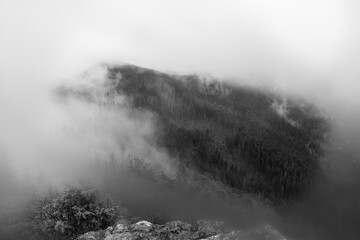 A forested mountain in the Tatra Mountains in foggy weather