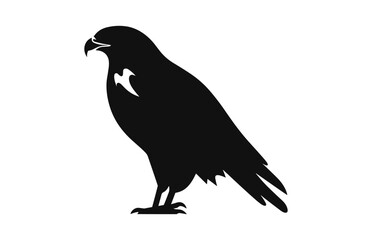 Hawk Bird Silhouette Vector isolated on a white background